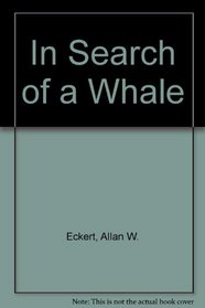 In Search of a Whale