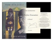 A perfect execution : a novel
