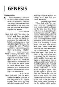 NIV, Super Giant Print Reference Bible, Leathersoft, Pink, Red Letter Edition, Comfort Print