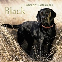 Black Labrador Retrievers 2005 Wall Calendar