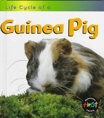 Life Cycle of a Guinea Pig (Heinemann First Library)