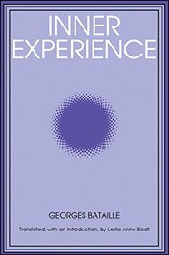 Inner Experience (Suny Series Intersections : Philosophy and Critical Theory)