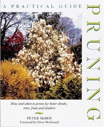 Pruning: A Practical Guide