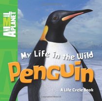 My Life in the Wild: Penguin (Animal Planet)
