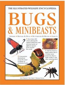 Bugs and Minibeasts (The Illustrated Wildlife Encyclopedia)
