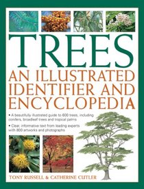 Trees: An Illustrated Identifier And Encyclopedia: A Beautifully Illustrated Guide To 600 Trees, Including Conifers, Broadleaf Trees And Tropical Palms