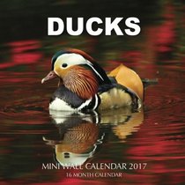 Ducks Mini Wall Calendar 2017: 16 Month Calendar