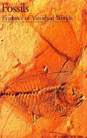 Discoveries: Fossils (Discoveries (Abrams))