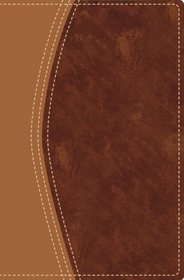 NIV Award Bible Italian Duo- Tone for Men