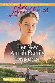 Her New Amish Family (Amish Country Courtships, Bk 4) (Love Inspired, No 1208) (Large Print)