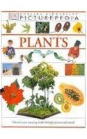 Picturepedia(Revised):15 Plants: Picturepedia(Revised):15 Plants