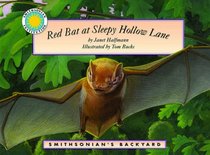 Red Bat at Sleepy Hollow Lane (Smithsonian Backyard)