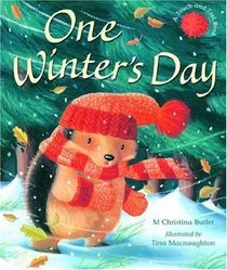 One Winter's Day (Little Hedgehog, Bk 2)