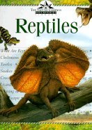 Reptiles (A little ark book)
