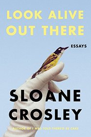 Look Alive Out There: Essays