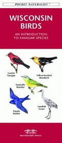 Wisconsin Birds: An Introduction to Familiar Species (Pocket Naturalist)