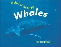 Animals of the Ocean - Whales