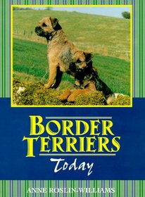 Border Terriers Today