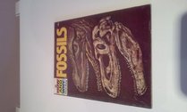 The how and why wonder book of fossils