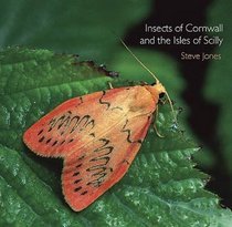 Insects of Cornwall and the Isles of Scilly (Pocket Cornwall)
