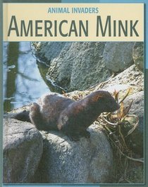 American Mink (Animal Invaders)