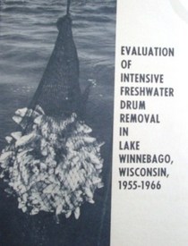 Evaluation of intensive freshwater Drum removal in Lake Winnebago , Wisconsin 1955 - 1966