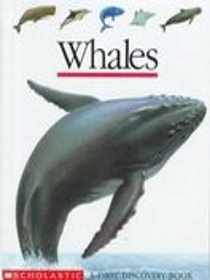 Whales (First Discovery)