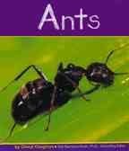 Ants (Insects) (Insects (Mankato, Minn.).)