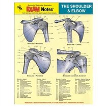 Shoulder & Elbow Anatomy EXAM Notes