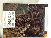 Snakes (Collins Pathways)