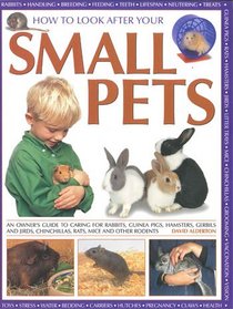 How to Look After Your Small Pets