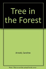 Tree in the Forest