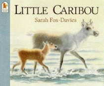 Little Caribou