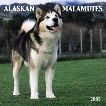 Alaskan Malamutes 2005 Wall Calendar