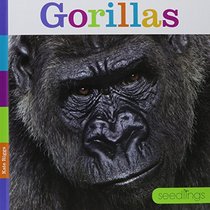Gorillas (Seedlings)