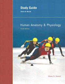 Study Guide: Human Anatomy  Physiology