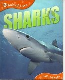 Sharks QEB Animal Lives