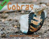 Cobras (Power 100)