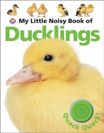 My Little Noisy Book of Ducklings (Magnetic Learning)