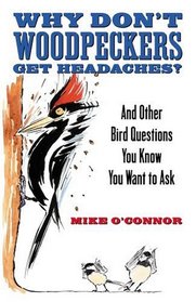 Why Don't Woodpeckers Get Headaches: And Other Answers to Bird Questions You Know You Want to Ask