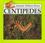Centipedes (Animals Without Bones Discovery Library)