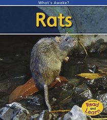 Rats: 2nd Edition (What's Awake?)