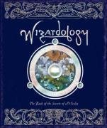 Wizardology: 2008 Wall Calendar