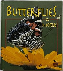 Butterflies and Moths (Crabapples)