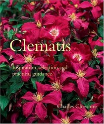 Clematis : Inspiration, Selection, and Practical Guidance