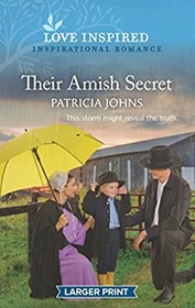 Their Amish Secret (Amish Country Matches, Bk 2) (Love Inspired, No 1495) (Larger Print)