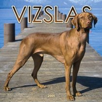 Vizslas 2005 Wall Calendar