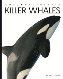 Amazing Animals: Killer Whales