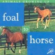 Foal to Horse (Animals Growing Up.)