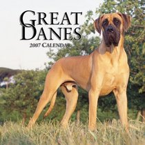 Great Danes International 2007 Calendar